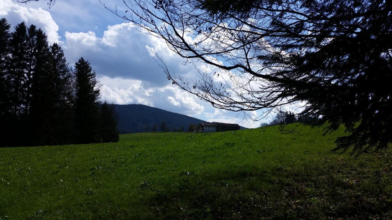 Biohof Unterstadl