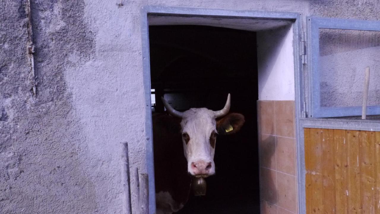 Biohof Unterstadl * Eben
